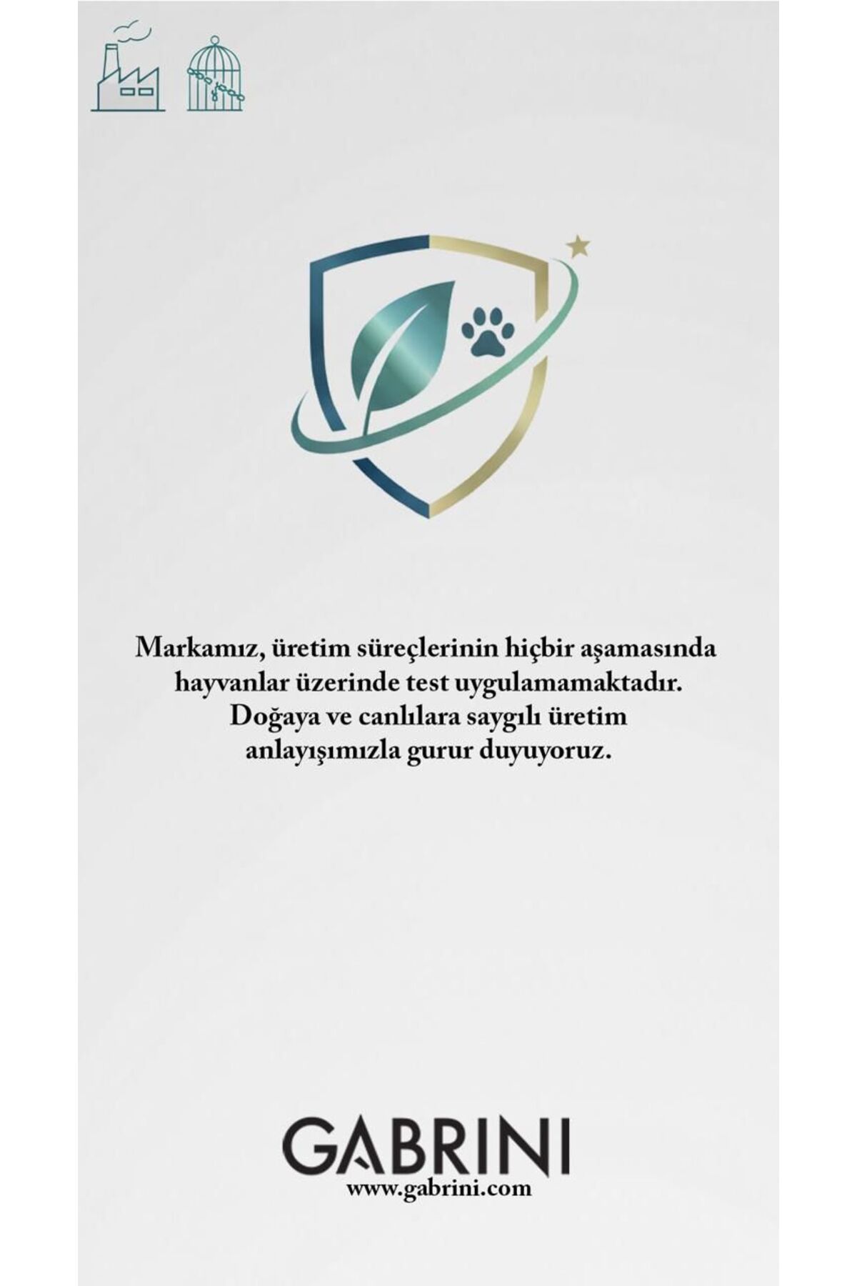 Text